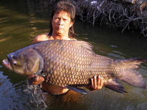 thailand fishing guides