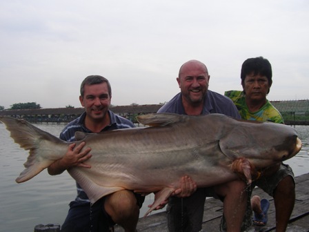 180-200lb Bungsamran Heavy Weight Mekong Catfish