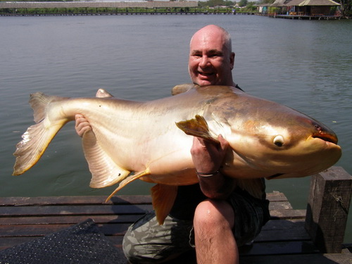 Alan Bardall with a 150lb Mekong catfish