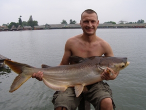 Fishing in Bangkok for Mekong giant catfish