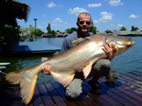 88lb Mekong Giant Catfish