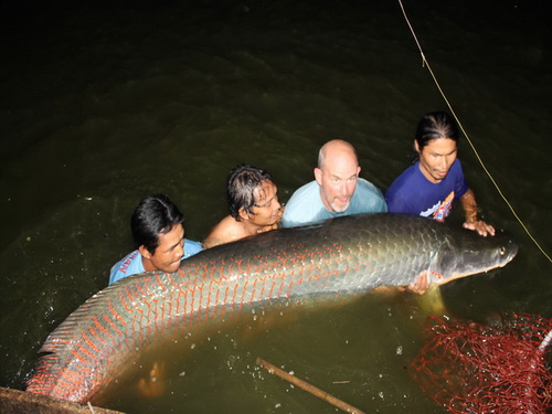 10ft record arapaima caught fishing in Thailand