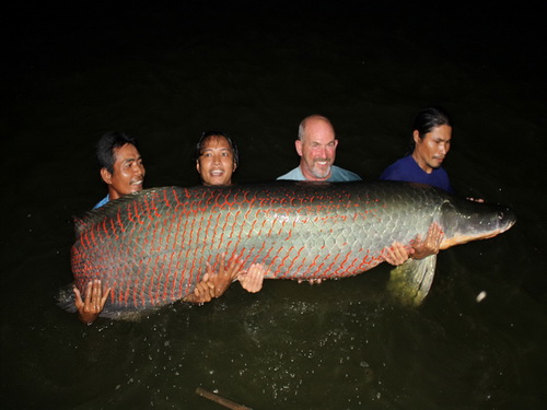Andy Harman - Thailand's biggest arapaima caught fishing in Bangkok