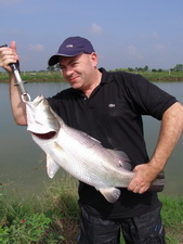 barramundi fishing in Thailand at Boon Mar Ponds with the Fish Thailand Team