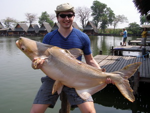 Mekong Catfish fishing in Bangkok