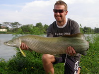 Arapaima Fishing in Thailand