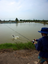 lure fishing in Thailand at Boon Mar Ponds
