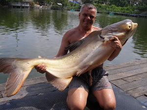 fishing Bangkok for Mekong catfish