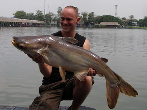 Arjen Lans catfish fishing Bangkok
