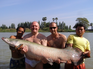 132lb Arapaima fishing in Thailand