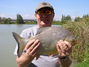 Pacu fishing in Thailand