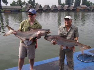 Corporate fishing activities in Bangkok