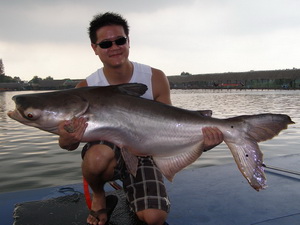 Corporate fishing activities in Bangkok