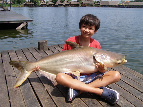 Junior fishing in Bangkok