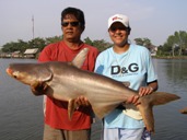 fishing bangkok