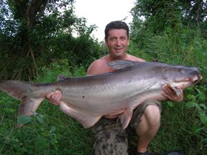 Shadow Lake's Monster Mekong Catfish