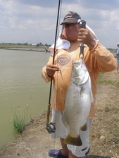 fly fishing in thailand