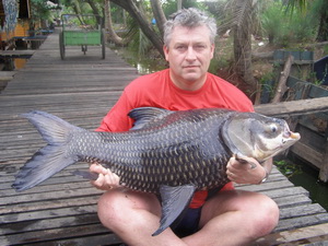 carp fishing in Thailand at Bungsamran