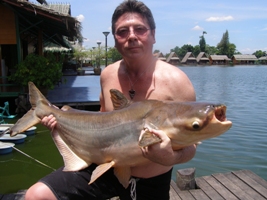 Mekong giant catfish fishing Bangkok