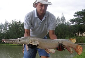 alligator gar fishing IT Lake Monsters Ratchaburi