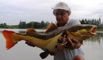 redtail catfish fishing IT Lake Monsters Ratchaburi