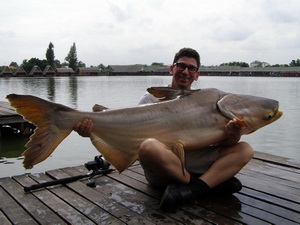 Giant Mekong Catfish caught fishing in Bangkok