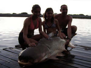 110lb Mekong Giant Catfish