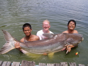 180lb Mekong Catfish