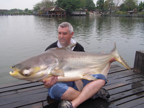 150lb Mekong catfish caught fishing in Bangkok at Bungsamran