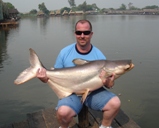 mekong giant catfish bangkok