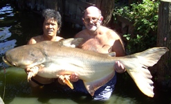 Giant Mekong Catfish Fishing Bangkok