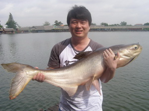 catfish fishing Bangkok