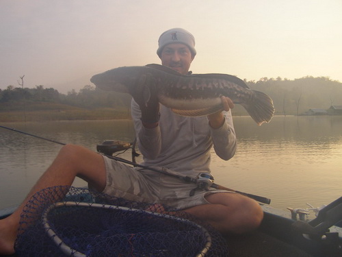 Snakehead fishing in Thailand