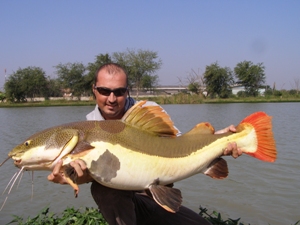 Eddy Mounce with a redtail catfish fishing in Thailand