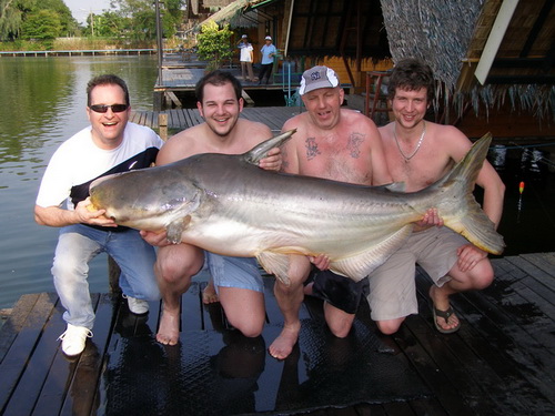 Thailand's Monster Mekong Catfish Fishing