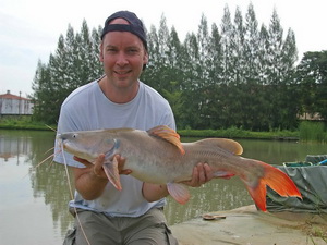 Asian redtail catfish fishing Thailand