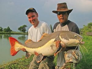 Amazonian Redtail catfish fishing in Thailand