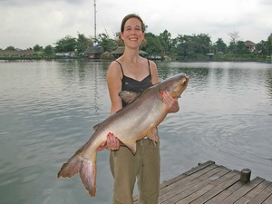 Mekong giant catfish fishing Thailand