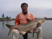 Gerald - Mekong Catfish