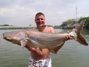 Glyn - Mekong Catfish