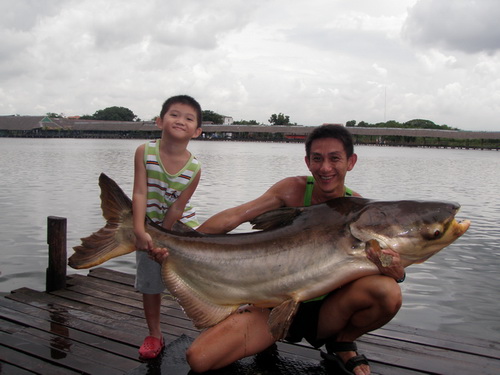Monster Fish Thailand
