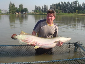 Arapaima native to the Amazon now being caught to huge sizes in Thailand