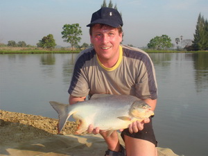 Pacu fishing in Thailand is very productive