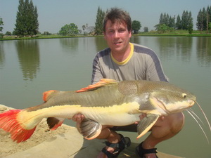 Ian - Amazon redtail catfish fishing in Thailand