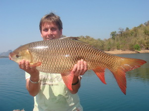 Rohu (Indian Carp) fishing in Thailand