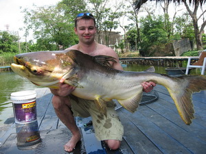 Mekong catfish fishing in Bangkok