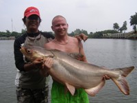 Mekong Catfish Fishing Bangkok