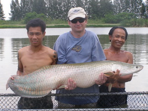 arapaima fishing thailand