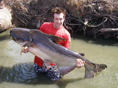 mekong giant catfish fishing bangkok