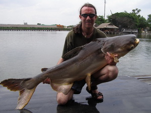 Mekong catfish fishing in Thailand